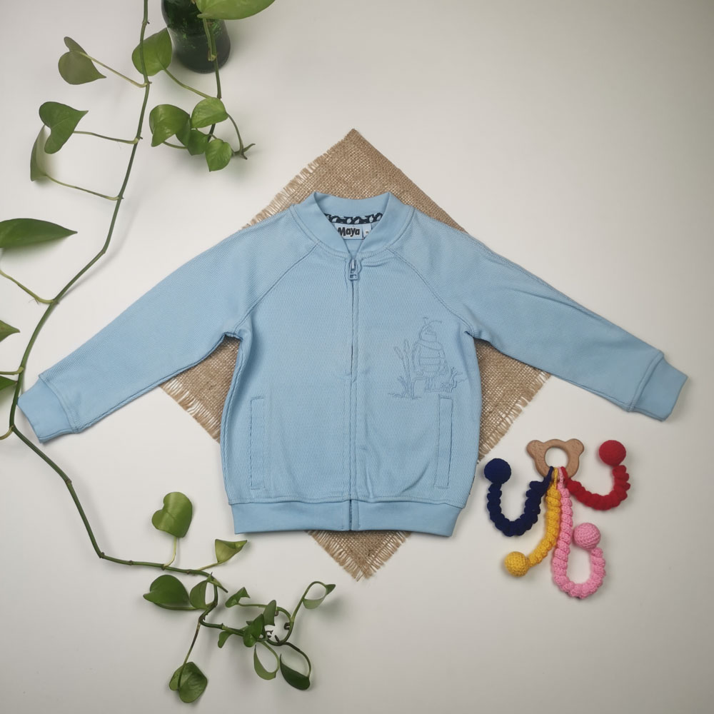 سویشرت آستین بلند گلدوزی شده آبی رنگ - 2 تا 4 سال